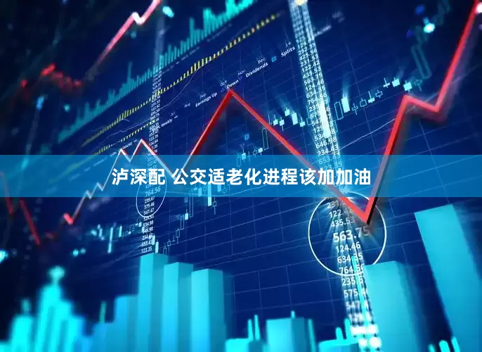 泸深配 公交适老化进程该加加油