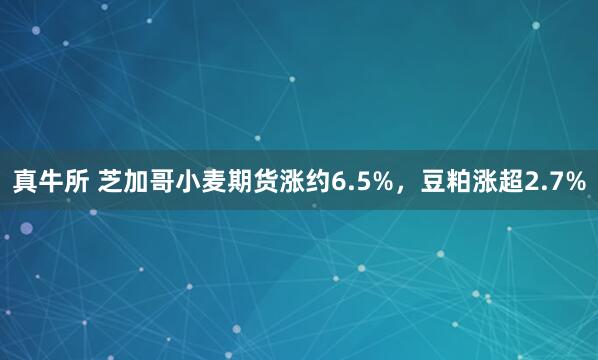 真牛所 芝加哥小麦期货涨约6.5%，豆粕涨超2.7%